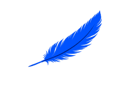 Bluejay